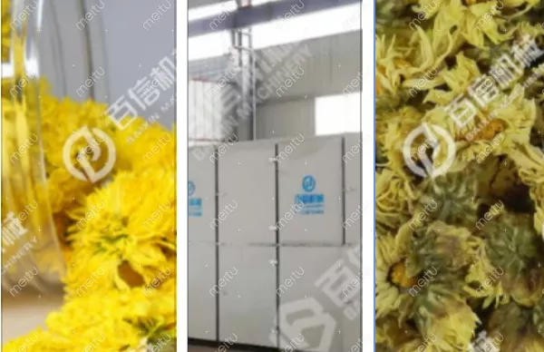 2026年菊花烘干机国内市场需求分析