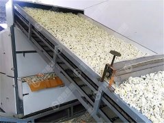 百信菊花烘干机厂家专业在哪里？