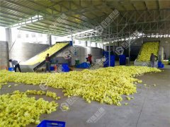 菊花烘干机怎么选？牢记这几点！