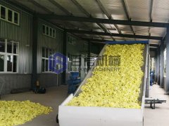 菊花烘干机遇到突发情况怎么解决？