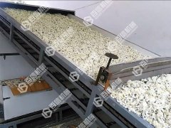 菊花烘干机厂家哪里找？