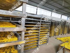  金丝皇菊烘干机多少钱一台？