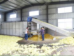 菊花烘干机厂家 就找百信机械