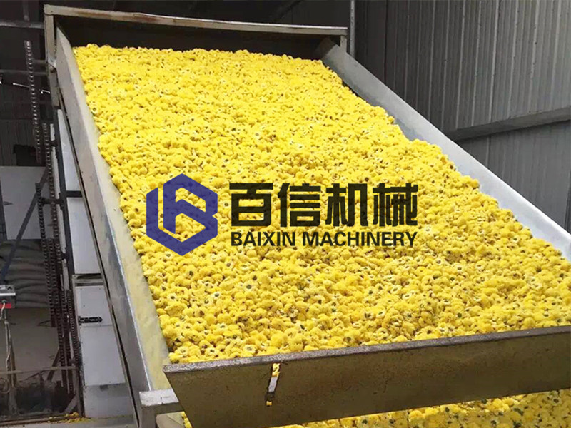 皇菊花烘干机厂家