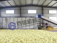 烘干菊花工艺也很重要